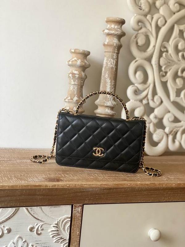 Chanel Handbags 104